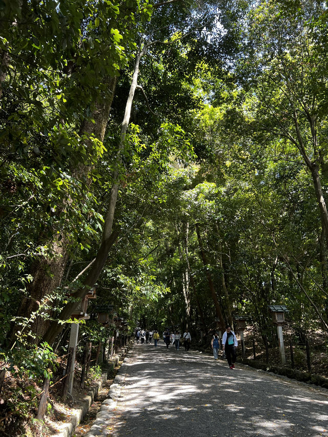 神様に“山そのもの”を祀るという、ちょっと異次元な神社🇯🇵✈️🌎