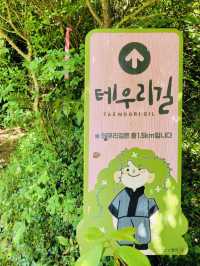 Great Walk in Jeju's Gotjawal Provincial Park! 