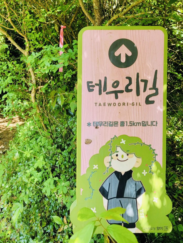 Great Walk in Jeju's Gotjawal Provincial Park! 