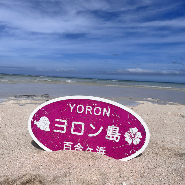 【与論島】絶景の百合が浜に会いに、与論島へ🏝️✨