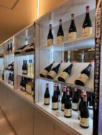 大阪萬博｜通向日本的洋流 西班牙館呈現大航海時代敘事
