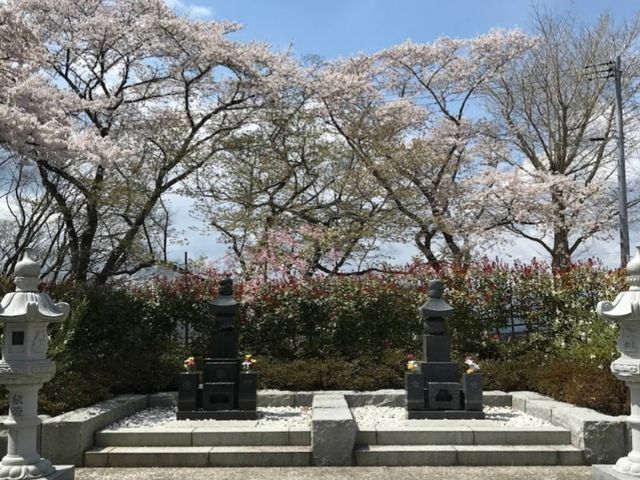 船岡城址公園，仙台近郊居高臨下的賞櫻名所