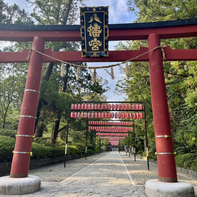 絶対に行って欲しい仙台3日間の旅行体験！