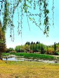 A Relaxing Day in Kunming