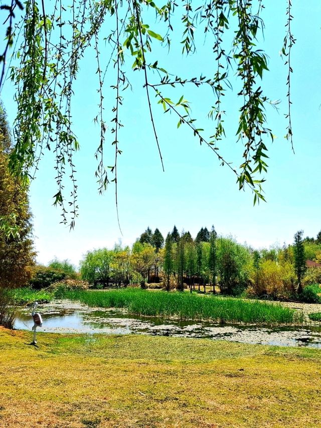 A Relaxing Day in Kunming