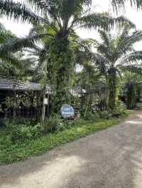 บ้านสวนตาแจ้