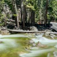 🏔️ Escape to Yosemite: A Breathtaking Day Trip from San Francisco! 🏞️
