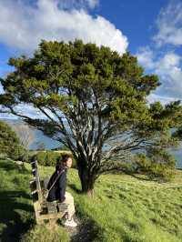 紐西蘭北島｜紐西蘭的藍，有一種叫 Tauranga｜小山丘看見漸層海灣
