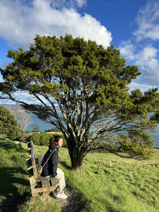 紐西蘭北島｜紐西蘭的藍，有一種叫 Tauranga｜小山丘看見漸層海灣