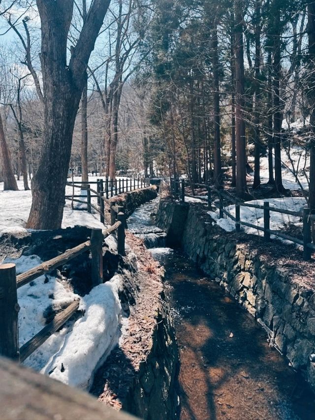 MARUYAMA PARK
