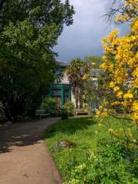 love scouting for a good walk that is full of nature and a complete opposite experience to a grey