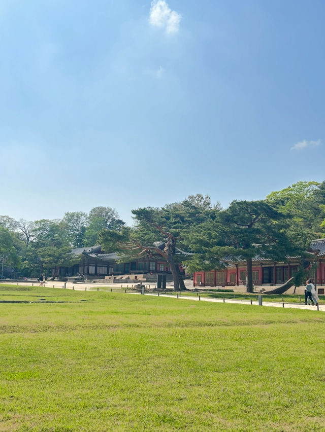 창경궁, 조선의 시간