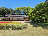 “The Petal-Crowned Heart of Tokyo”