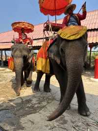 7 Days in Bangkok