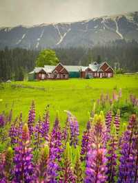 Srinagar – A Soulful Symphony of Lakes, Mountains, and Culture