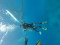 Oslob Whale Shark Watching