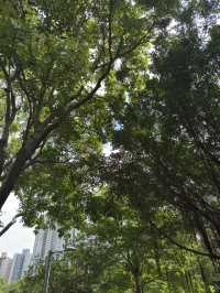 香港｜香港單車館公園｜深度遊的綠意與花海秘境