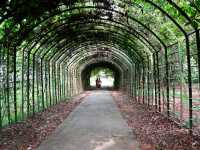 National Botanical Garden – Dhaka’s Living Green Museum