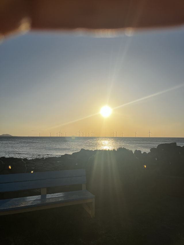 Sunkissed Sips & Insta-Worthy Vibes at Haejigae Café