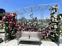Nakanoshima Park – A Serene Oasis in the Heart of Osaka