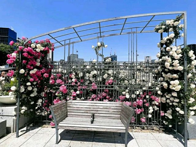 Nakanoshima Park – A Serene Oasis in the Heart of Osaka