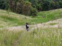 เส้นทางศึกษาธรรมชาติหนองผักชี เขาใหญ่