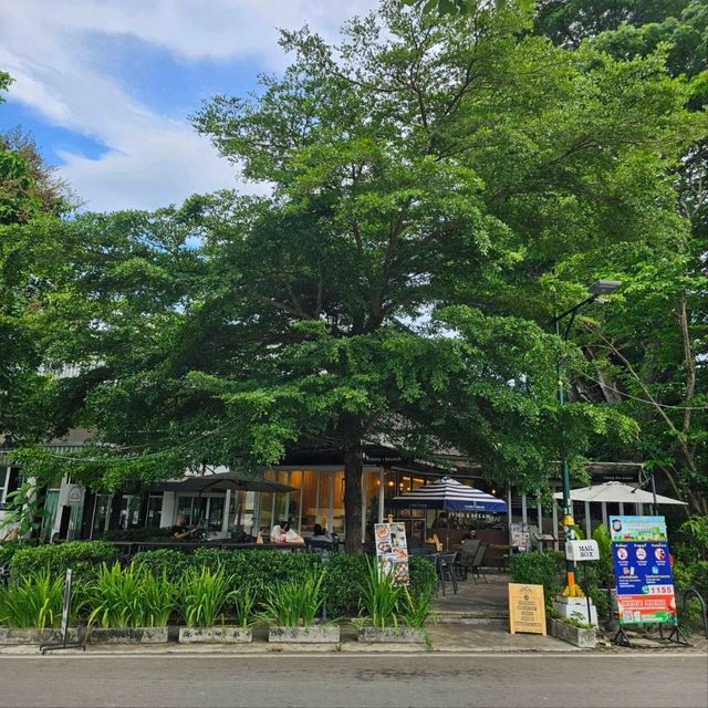 ชวนเที่ยวเดินชม อ่างเก็บน้ำ อ่างแก้ว มช.