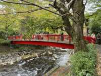 Kaede Bridge: A Tiny Slice of Izu's Timeless Charm