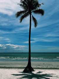 🌴✨ Relaxing on Bintan Island: A Paradise for Nature and Food Lovers ✨🌴