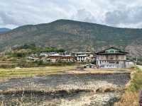 Punakha’s Fertility Temple – Where Culture Meets the Countryside