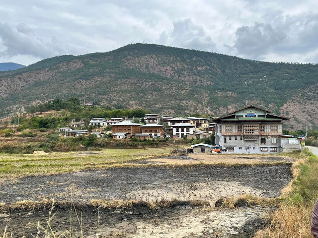 Punakha’s Fertility Temple – Where Culture Meets the Countryside