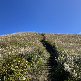 Indulge in the Silver Grass at Mt. Iwawaki