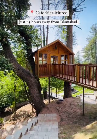 Dreamy cafe Among the Pine Hills - Murree 