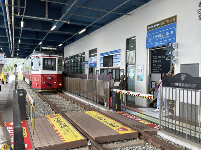 Where City Meets Sea: Korea in 3 Acts