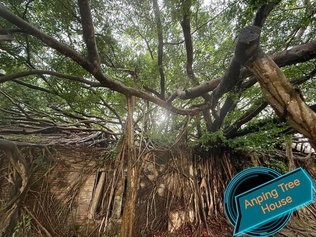 Anping Tree House