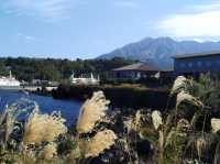 鹿兒島｜搭船賞櫻島火山 與迷你粉紅色鳥居「嚴島神社」