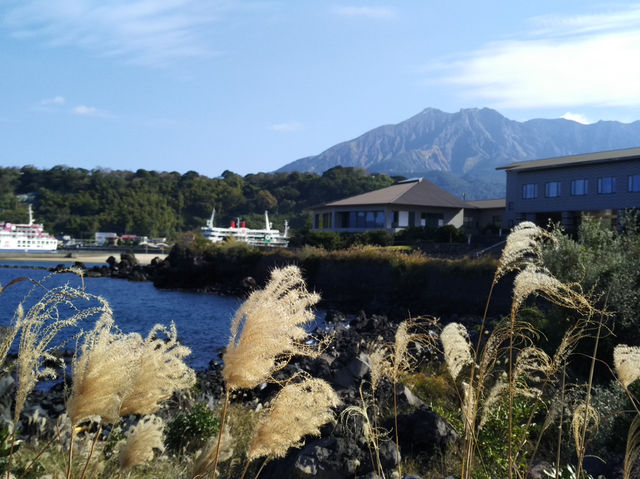 鹿兒島｜搭船賞櫻島火山 與迷你粉紅色鳥居「嚴島神社」