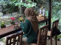  Escape to Mae Kampong: Nature & Chill Vibes Only! 