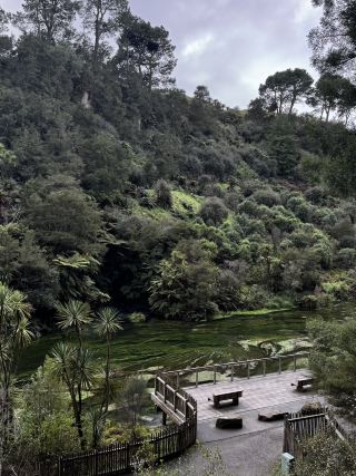 Blue Springs, NZ