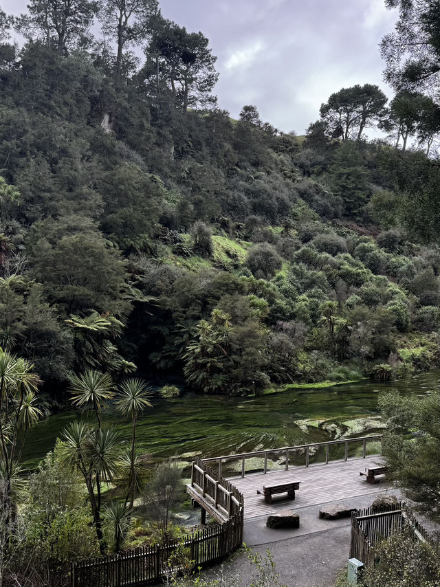Blue Springs, NZ