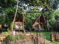 The Tropical Koh Mook 🌊🏝️