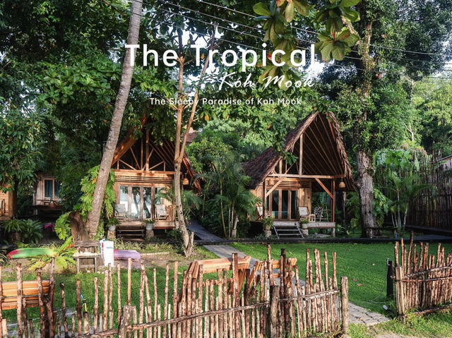 The Tropical Koh Mook 🌊🏝️