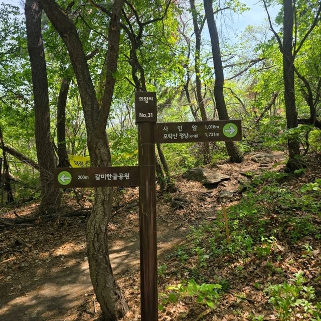 Quick Climb, Quiet Vibes, Totally Worth It