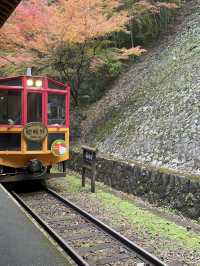 🚋【京都 嵐山】風ごと、景色ごと、心を運ぶ。「嵯峨野トロッコ列車」で五感の旅へ🍁🌿