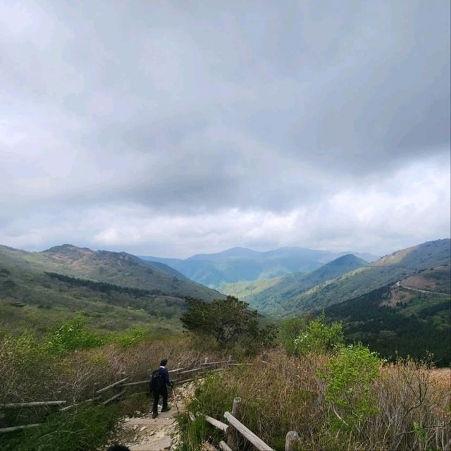 Yeongnam Alps in Summer