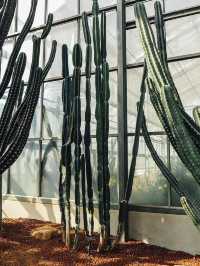 Mae Rim Queen SiriKit Botanic Garden Escape 🌵
