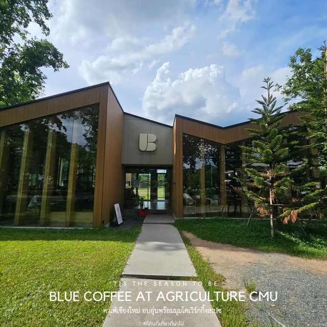 Co working space - BlueCoffee At AgricultureCMU