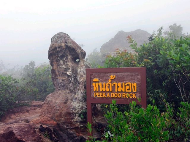 ลานหินงาม อุทยานแห่งชาติป่าหินงาม