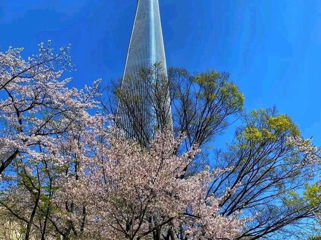 Sky-High Luxury at a Smart Price – Signiel Seoul Experience