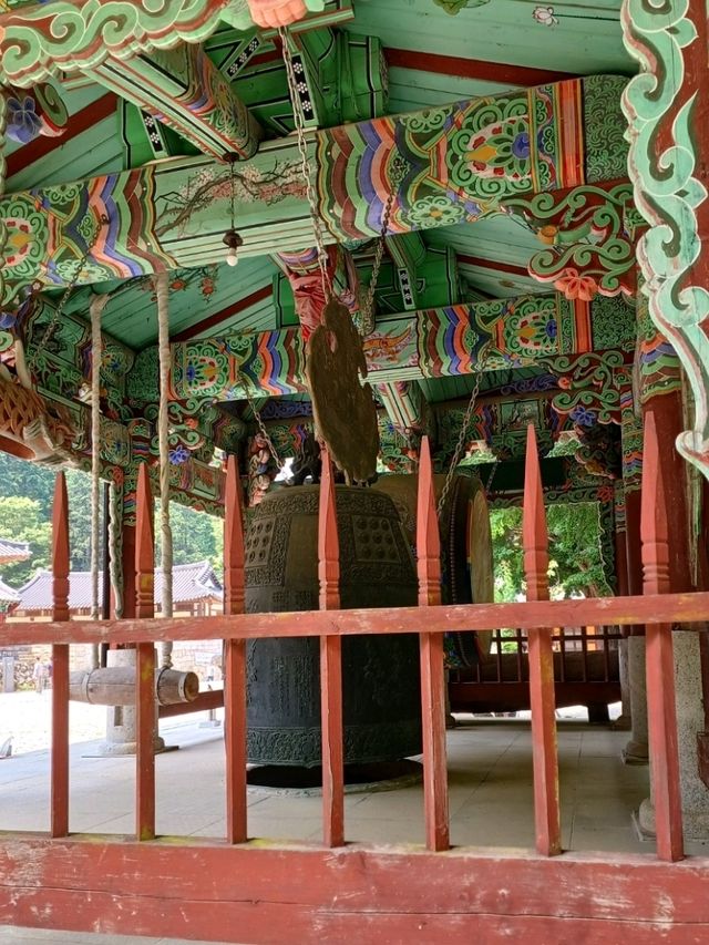 숲길 끝에 고즈넉이 자리한 절집🌿